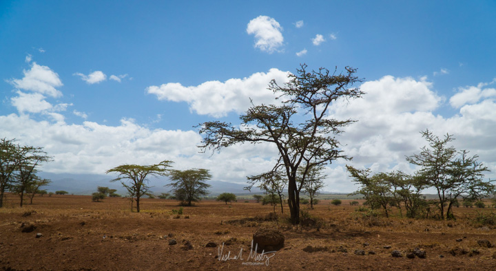 The African Desert