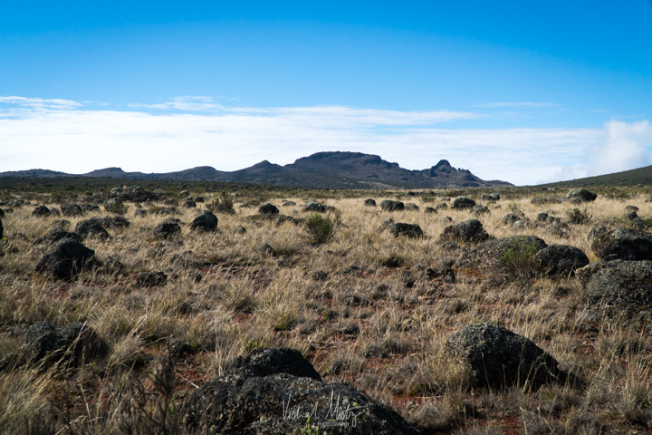 Volcanic landscape