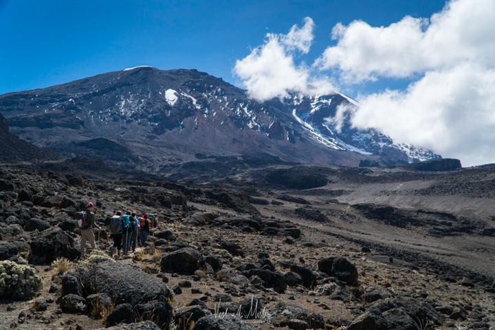 Towards lava tower