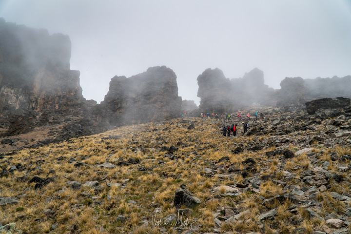 Lava Tower